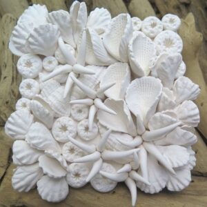 Alternative view of Air Drying Clay - White